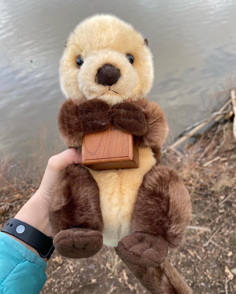 Stuffed animal otter with ringbox